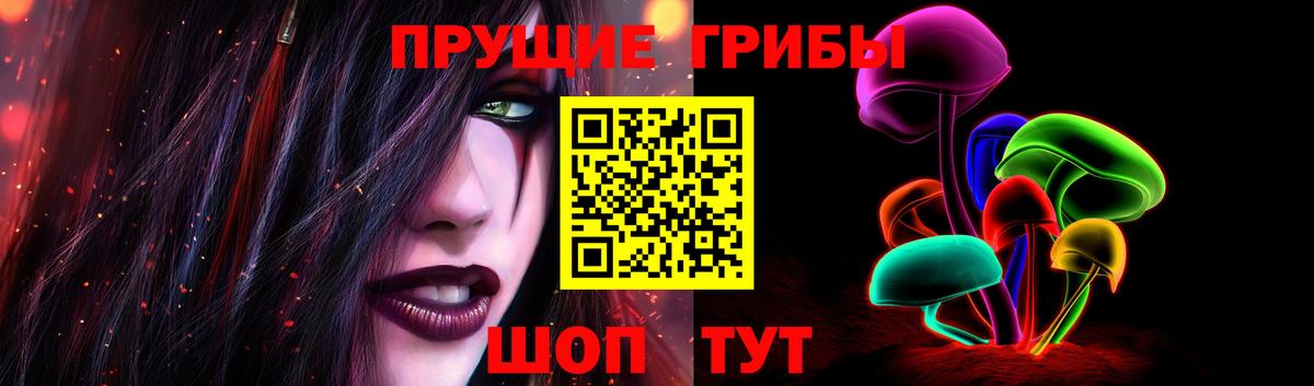 Славянск-на-Кубани  Галлюциногенные грибы Psilocybe  Вход с VPN 